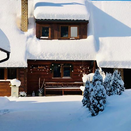Andrea- Neakceptujeme Mlade Partie Villa Terchova Exterior photo